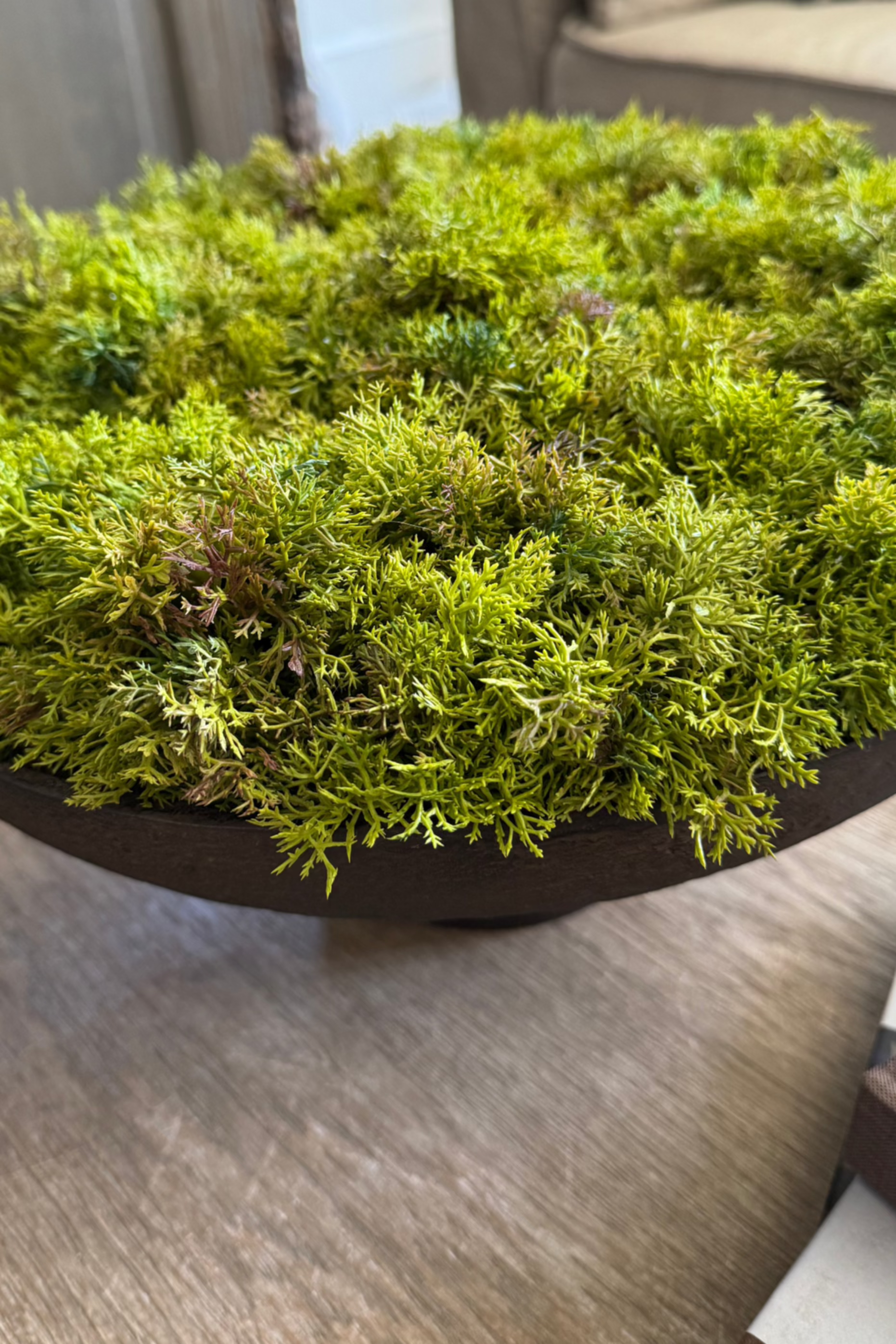 Curly Moss in a Brown Footed Stone Bowl RTfact Flowers 