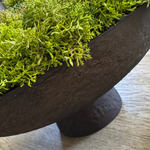 Curly Moss in a Brown Footed Stone Bowl RTfact Flowers 