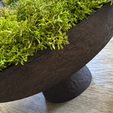 Curly Moss in a Brown Footed Stone Bowl RTfact Flowers 