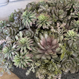Mixed Succulents in a Black Sandstone Effect Bowl RTfact Flowers 
