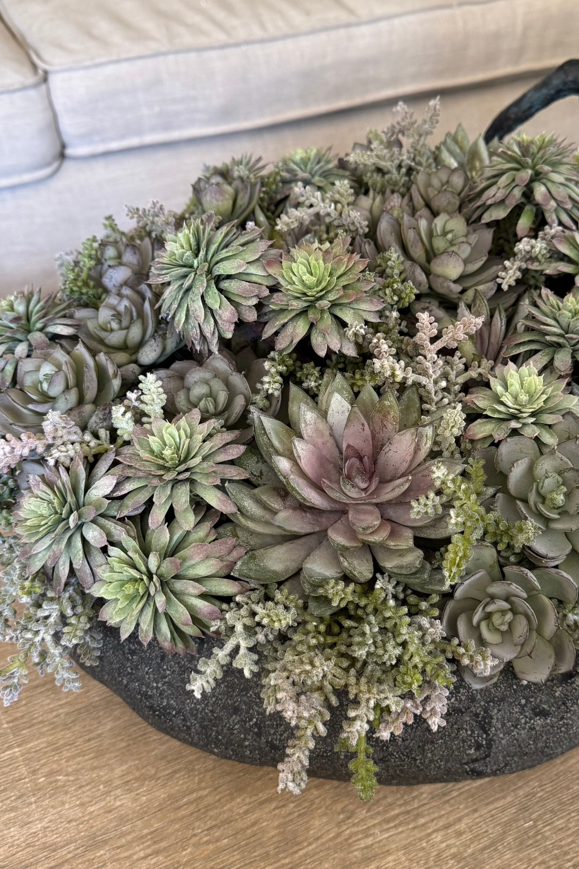 Mixed Succulents in a Black Sandstone Effect Bowl RTfact Flowers 
