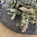 Mixed Succulents in a Black Sandstone Effect Bowl RTfact Flowers 