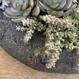 Mixed Succulents in a Black Sandstone Effect Bowl RTfact Flowers 