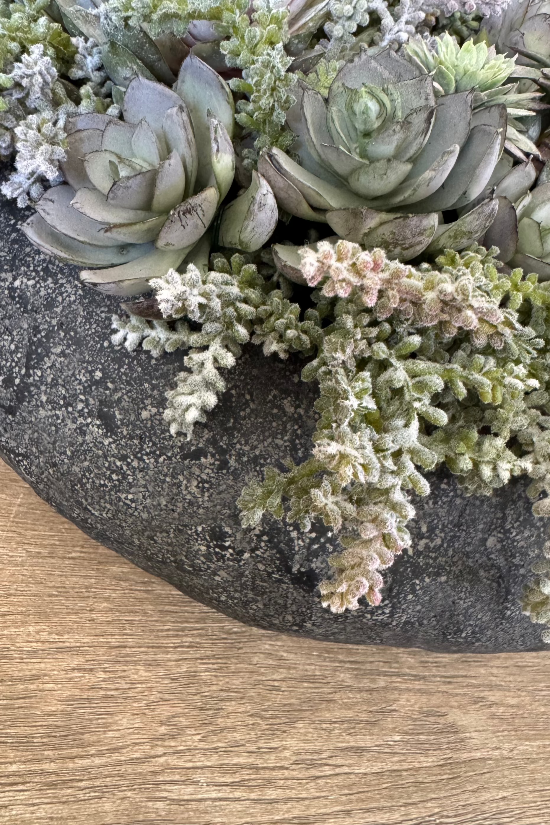 Mixed Succulents in a Black Sandstone Effect Bowl RTfact Flowers 