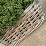 Mind Your Own Business in a Square Basket RTfact Flowers 