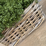 Mind Your Own Business in a Square Basket RTfact Flowers 