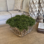 Mind Your Own Business in a Square Basket RTfact Flowers 