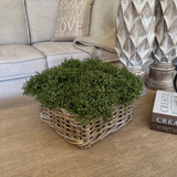 Mind Your Own Business in a Square Basket RTfact Flowers 