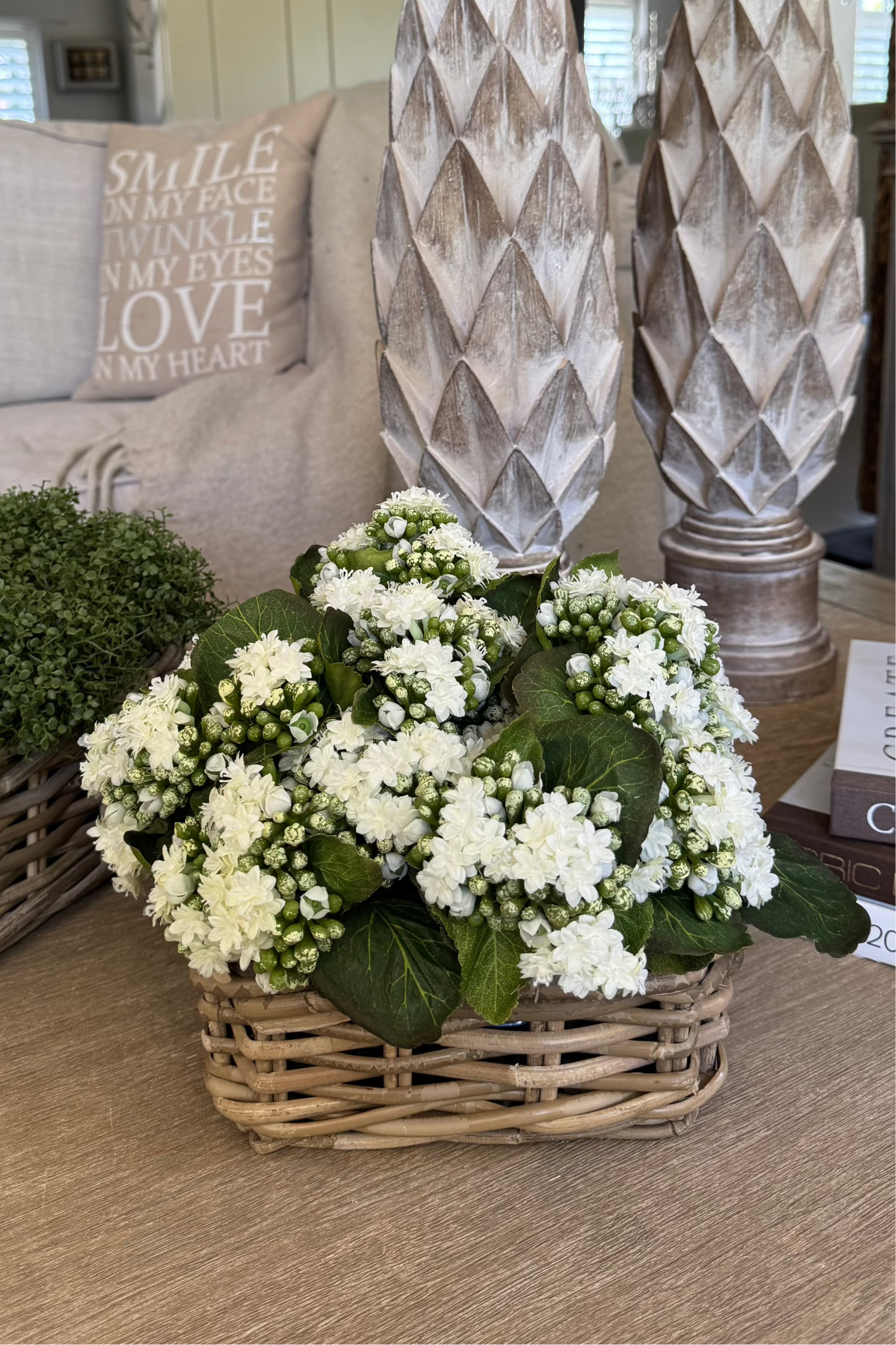 Kalanchoe Bell in a Square Basket RTfact Flowers 