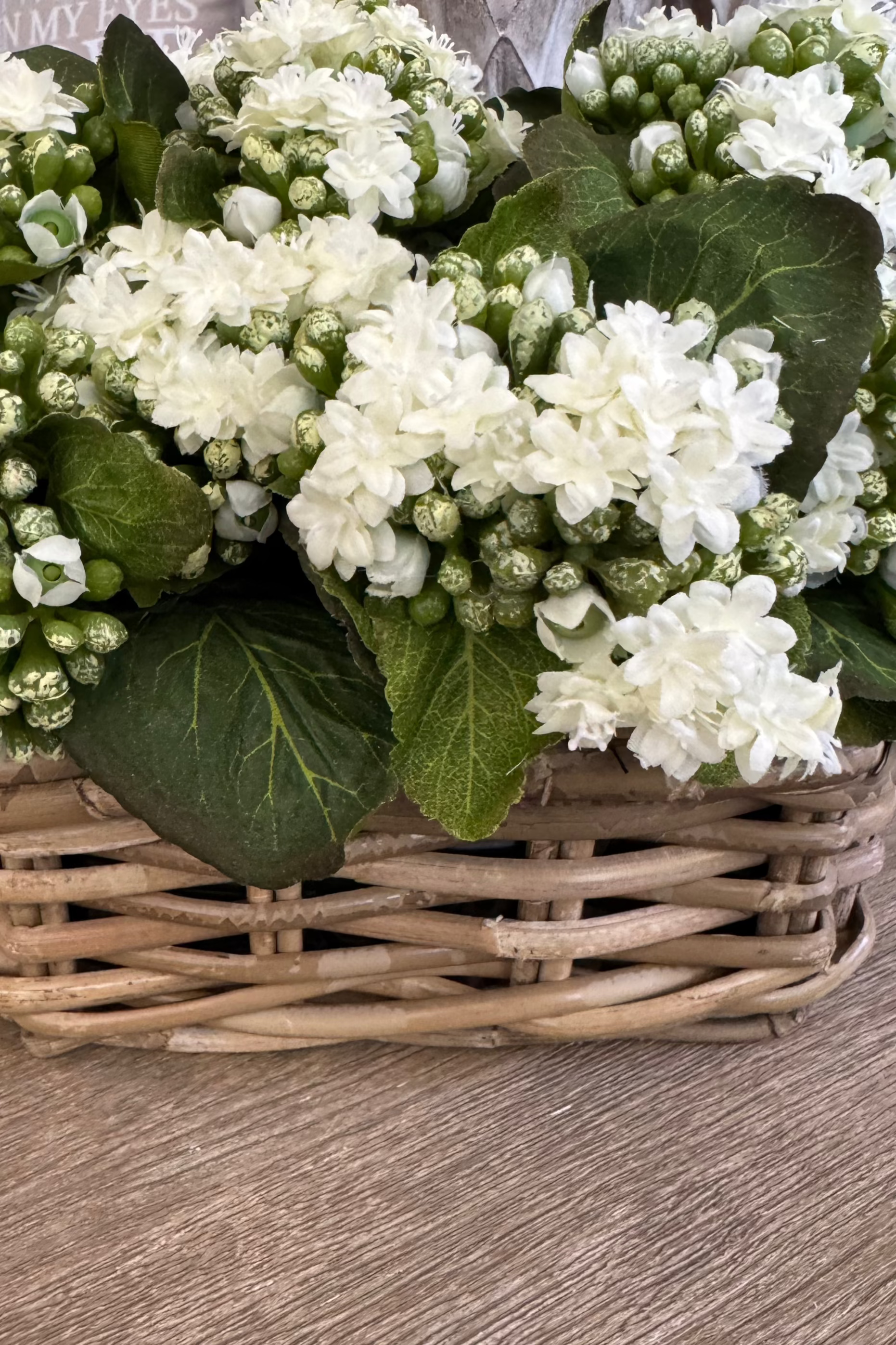 Kalanchoe Bell in a Square Basket RTfact Flowers 
