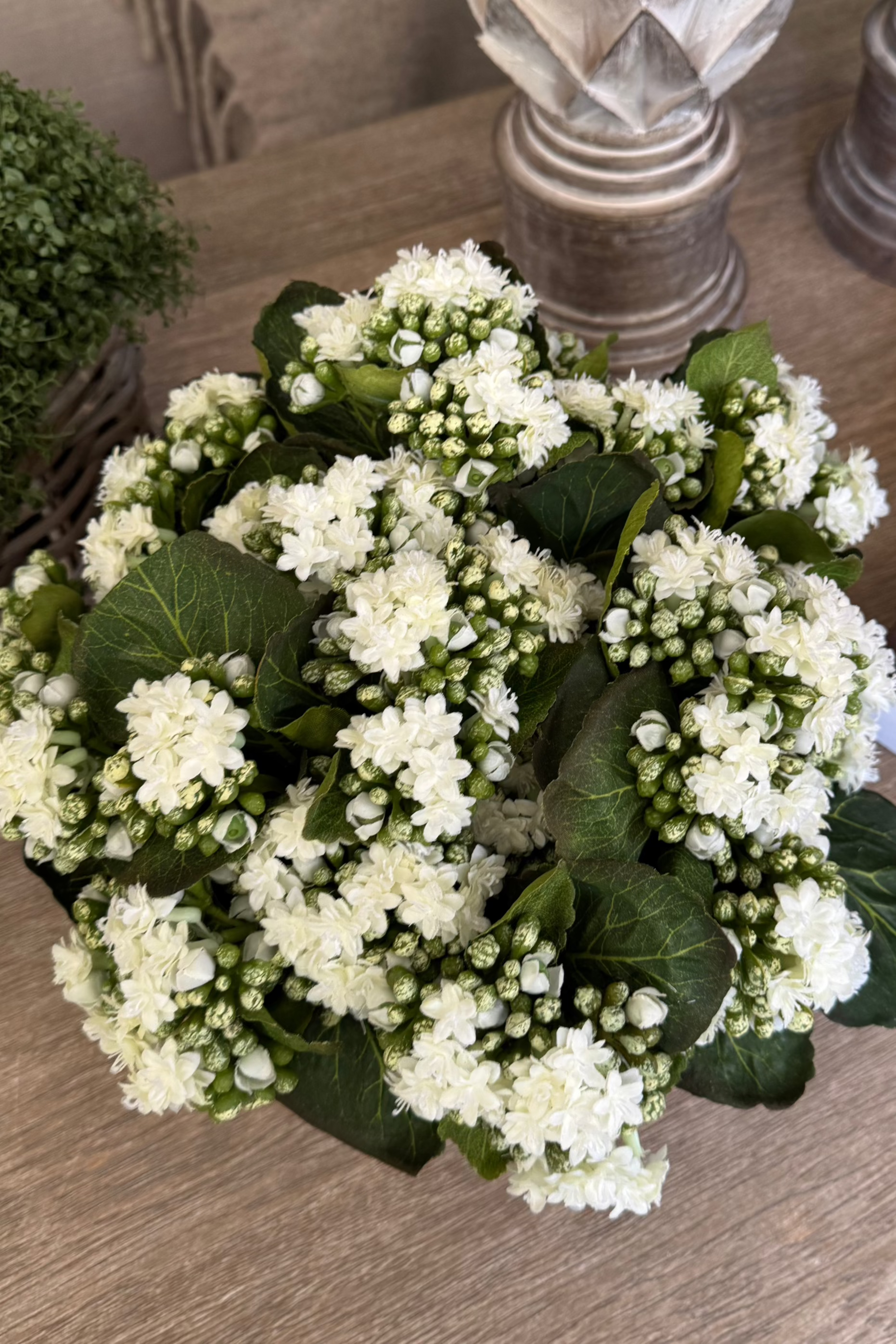 Kalanchoe Bell in a Square Basket RTfact Flowers 