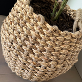 Leaf Spray Bush in a Soft Woven Basket RTfact Flowers 