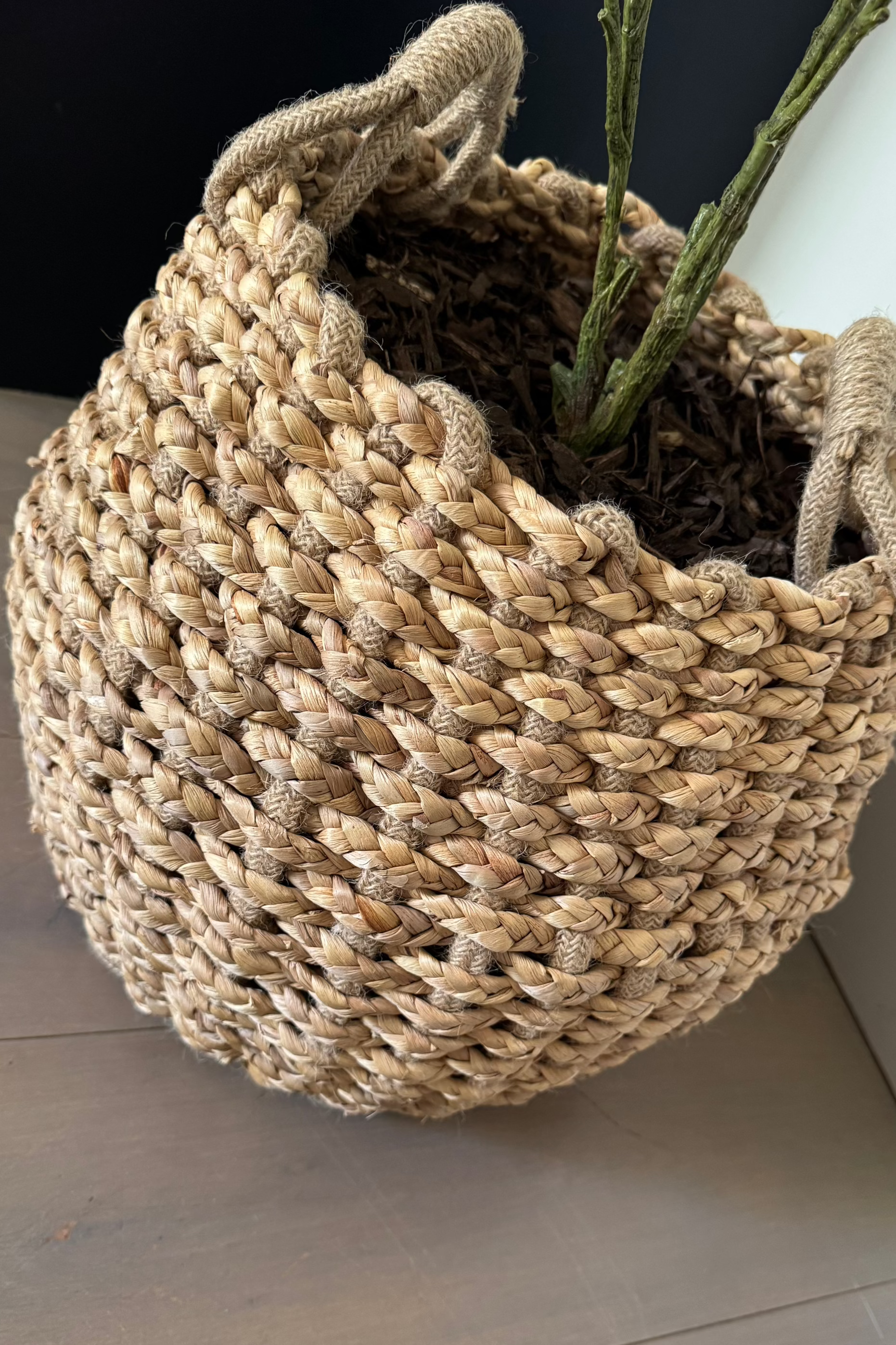 Leaf Spray Bush in a Soft Woven Basket RTfact Flowers 