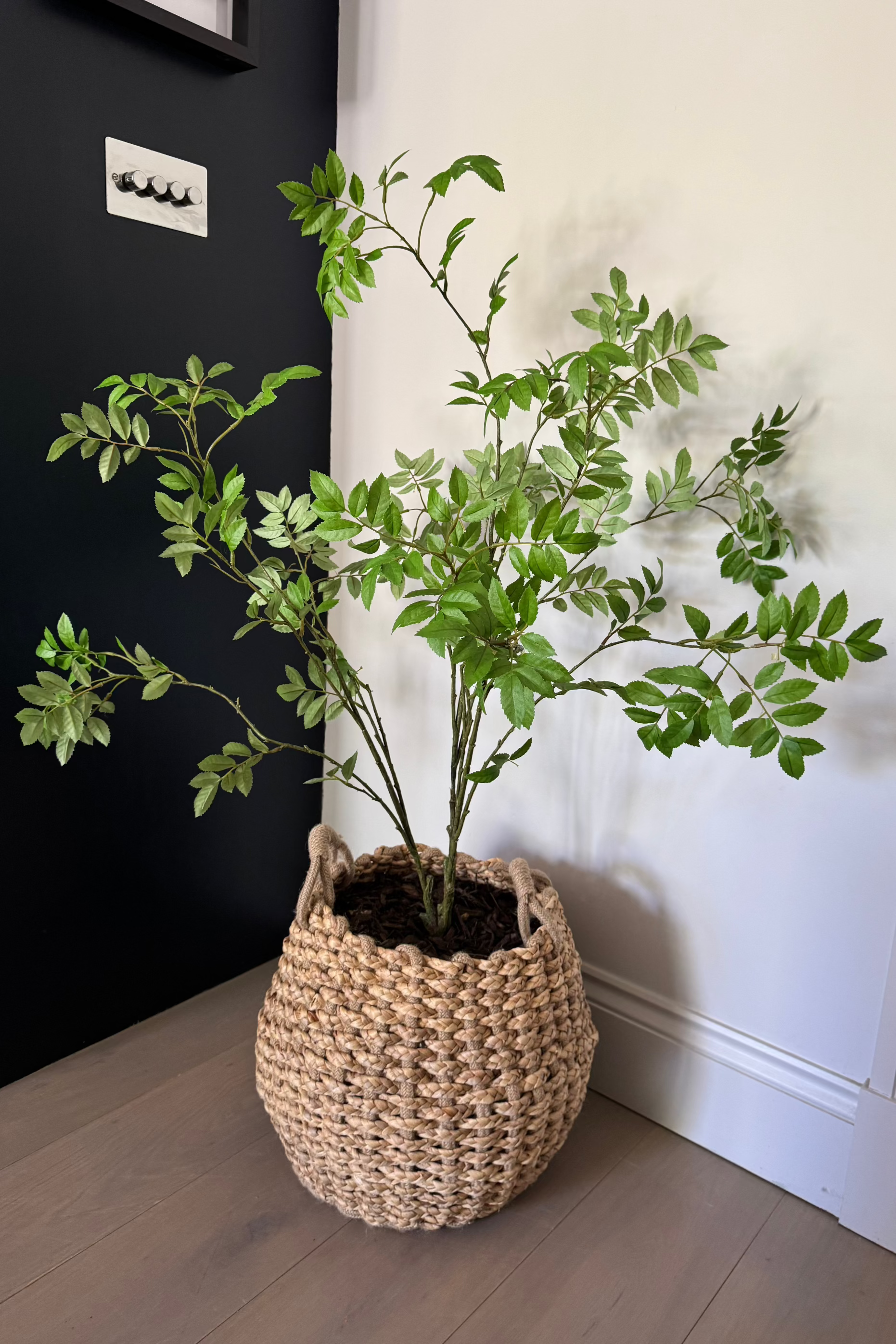 Leaf Spray Bush in a Soft Woven Basket RTfact Flowers 