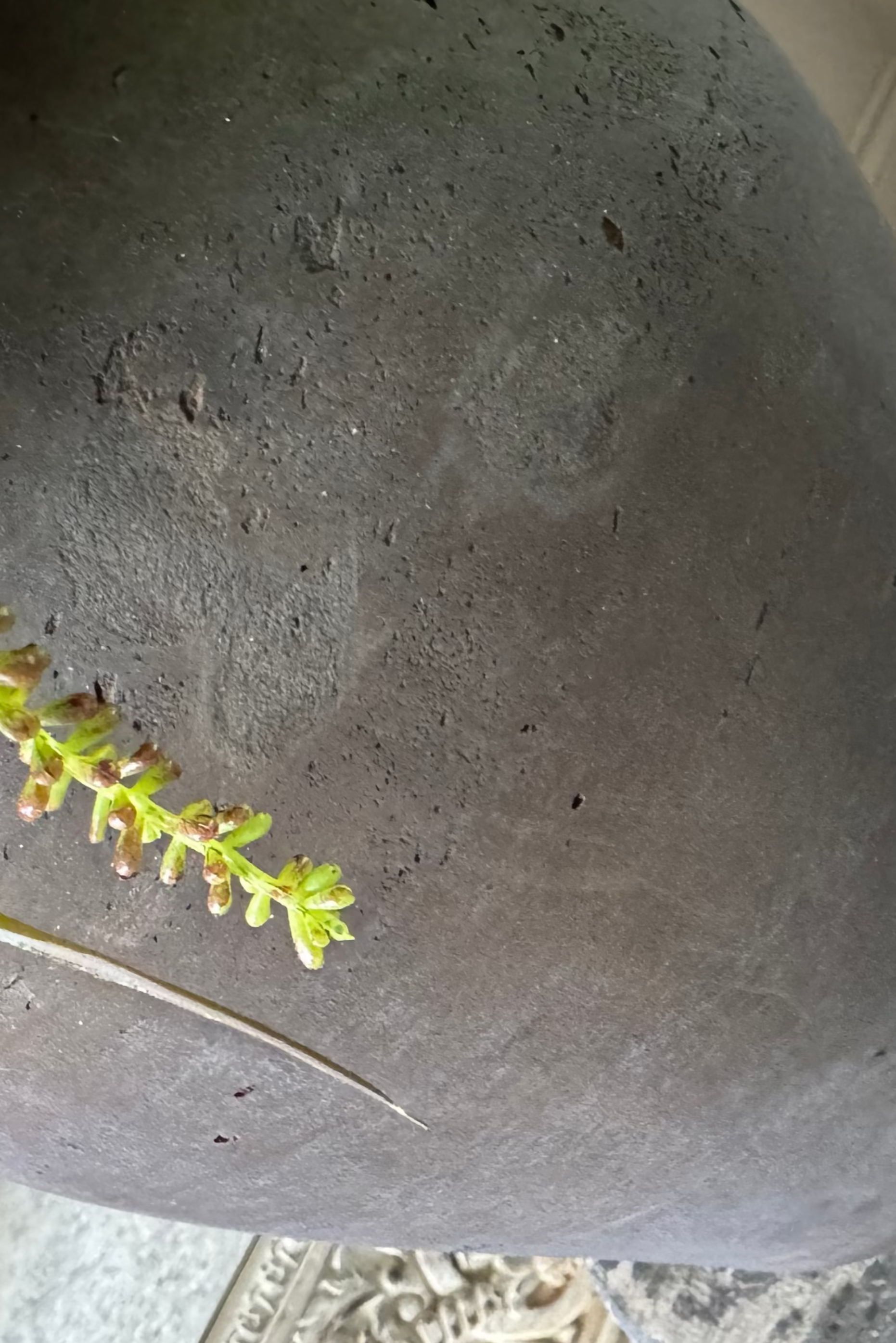 Ranunculus, Rose and Astrantia in a Rustic Brown Vase RTfact Flowers 