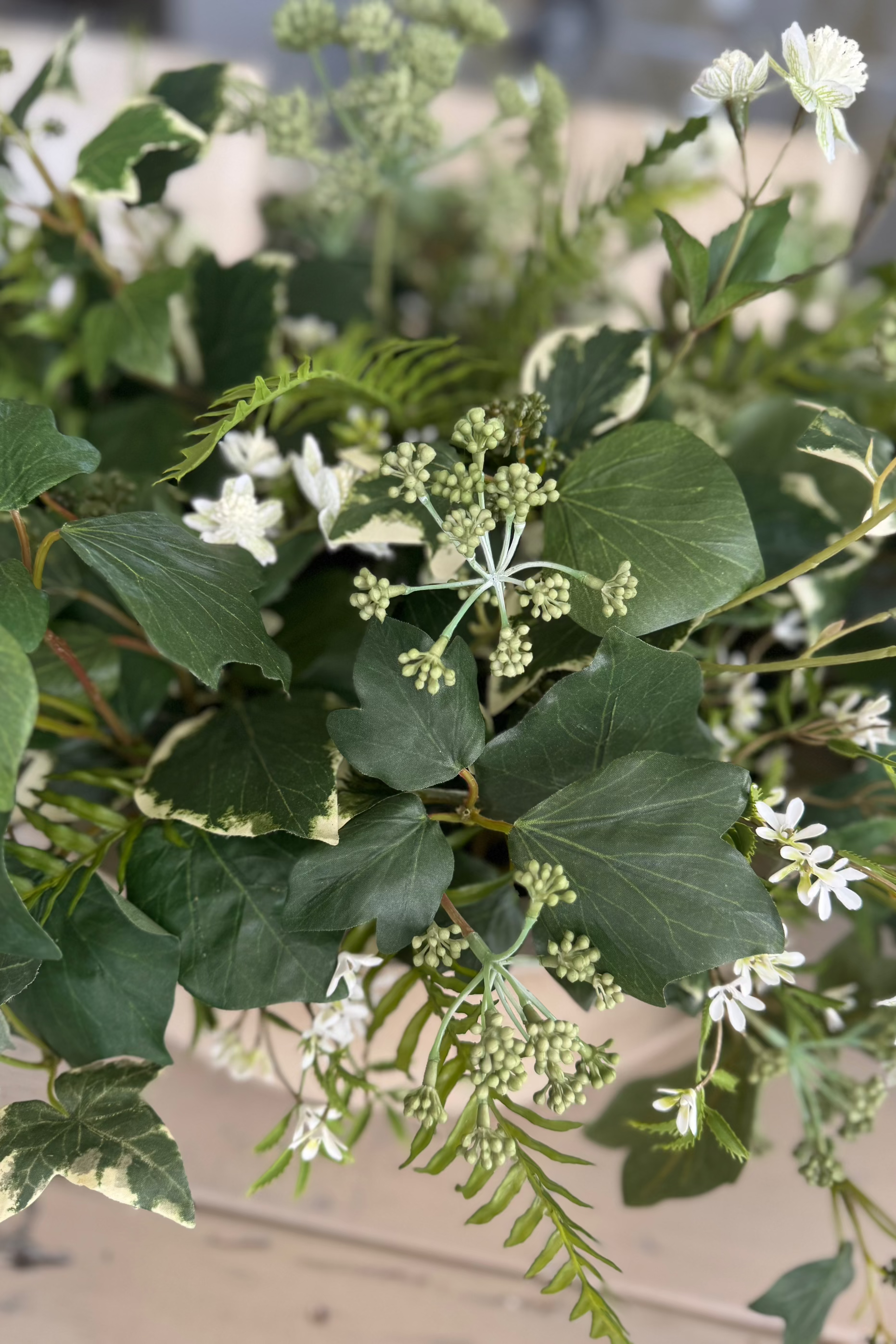 Ivy, Angelica and Astrantia in a Sandstone Coloured Bowl RTfact Flowers 