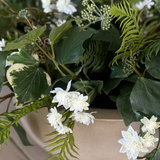 Ivy, Angelica and Astrantia in a Sandstone Coloured Bowl RTfact Flowers 
