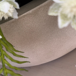 Ivy, Angelica and Astrantia in a Sandstone Coloured Bowl RTfact Flowers 