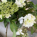 Bucida, Hydrangea Spray and Viburnum in a Light Grey Terracotta Vase RTfact Flowers 