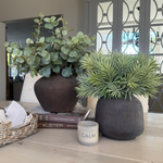 Eucalyptus in a Dark Brown Clay Pot RTfact Flowers 