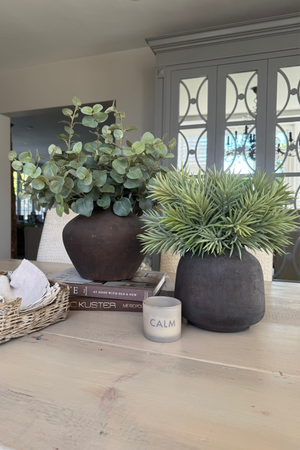Eucalyptus in a Dark Brown Clay Pot RTfact Flowers 