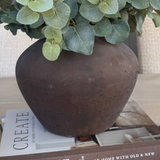 Eucalyptus in a Dark Brown Clay Pot RTfact Flowers 