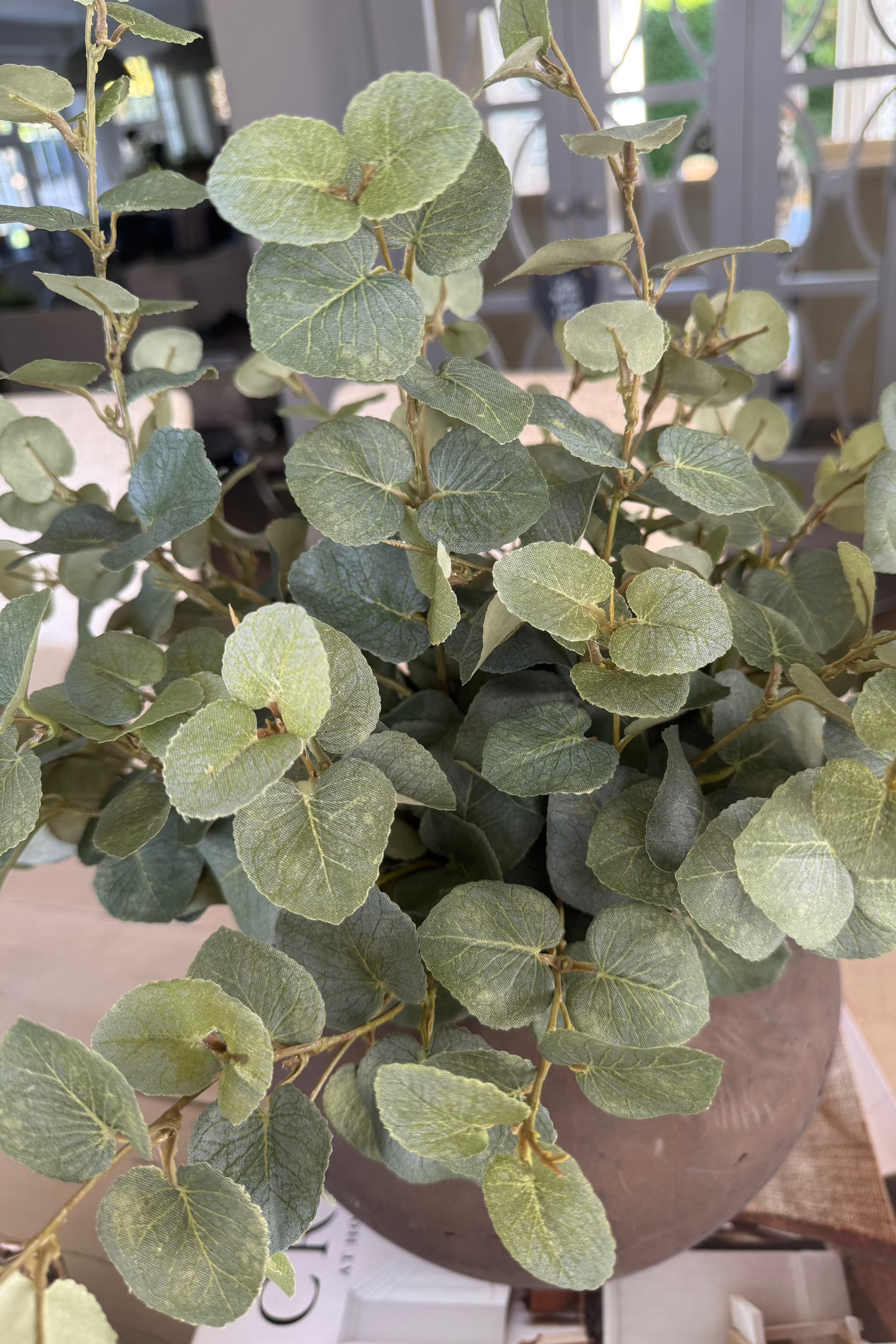 Eucalyptus in a Dark Brown Clay Pot RTfact Flowers 