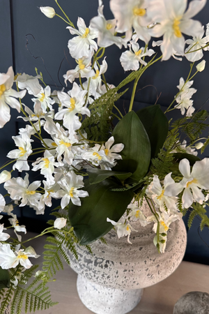 Dancing Orchids in a White Terracotta Vase