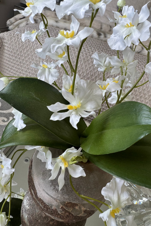 Dancing Orchids in a Round Frosted Glass Vase