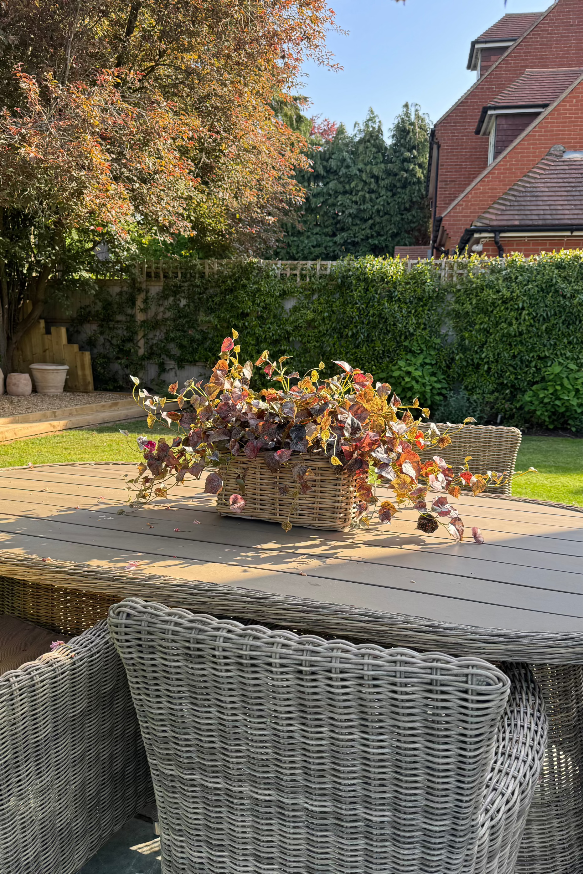 Ivy in a Rectangular Basket RTfact Flowers 