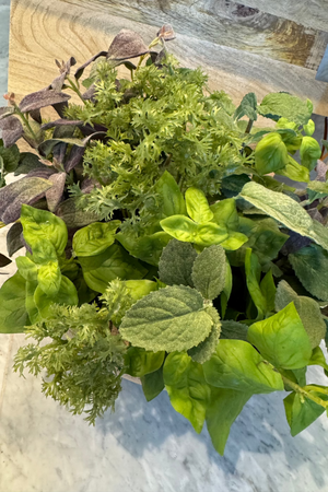 Mixed Herbs in a Terracotta Bowl RTfact Flowers 
