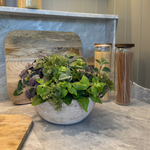 Mixed Herbs in a Terracotta Bowl RTfact Flowers 