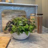 Mixed Herbs in a Terracotta Bowl RTfact Flowers 