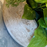 Mixed Herbs in a Terracotta Bowl RTfact Flowers 