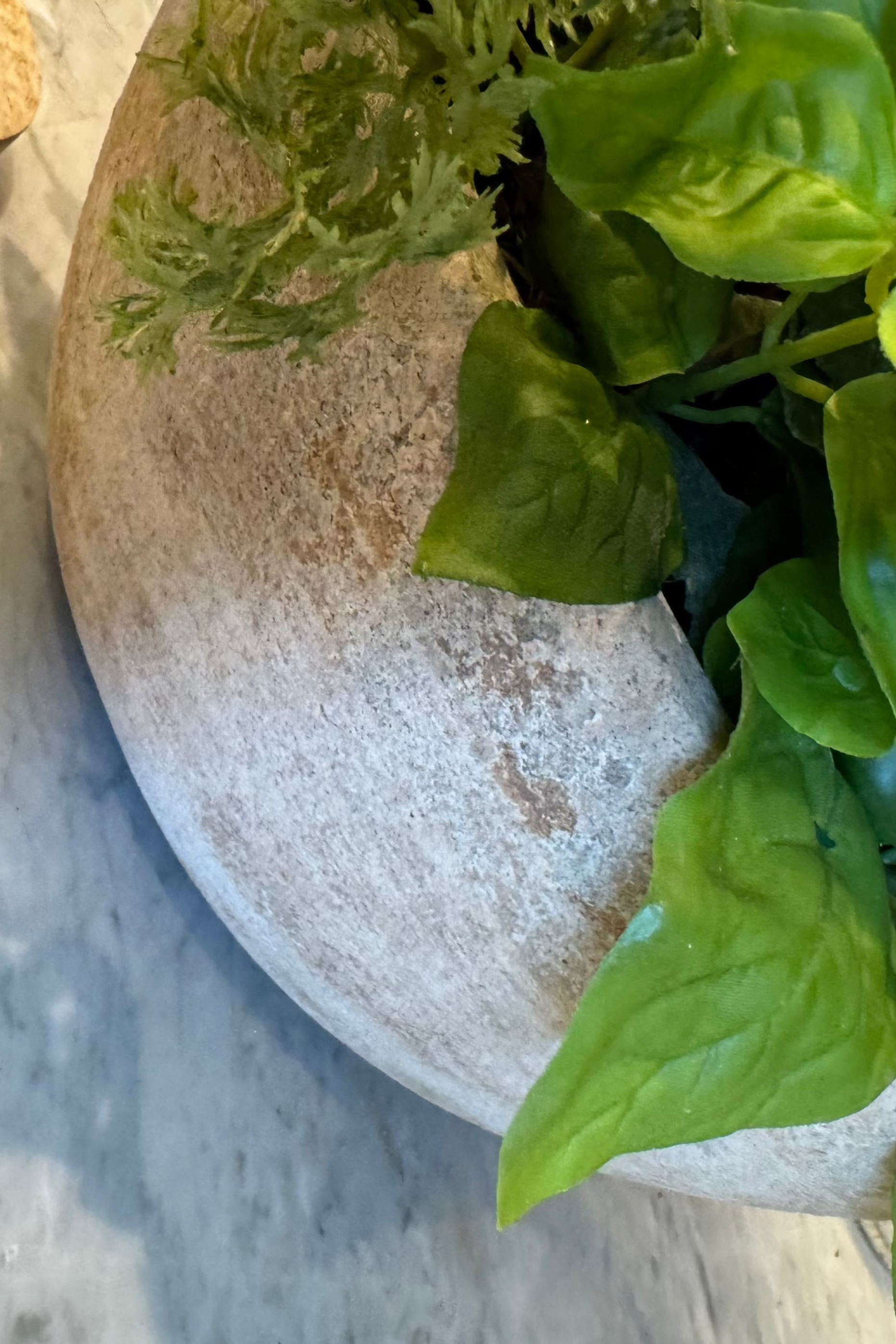 Mixed Herbs in a Terracotta Bowl RTfact Flowers 