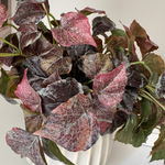 Ivy Spray in a Glazed Cream Vase RTfact Flowers 