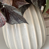 Ivy Spray in a Glazed Cream Vase RTfact Flowers 