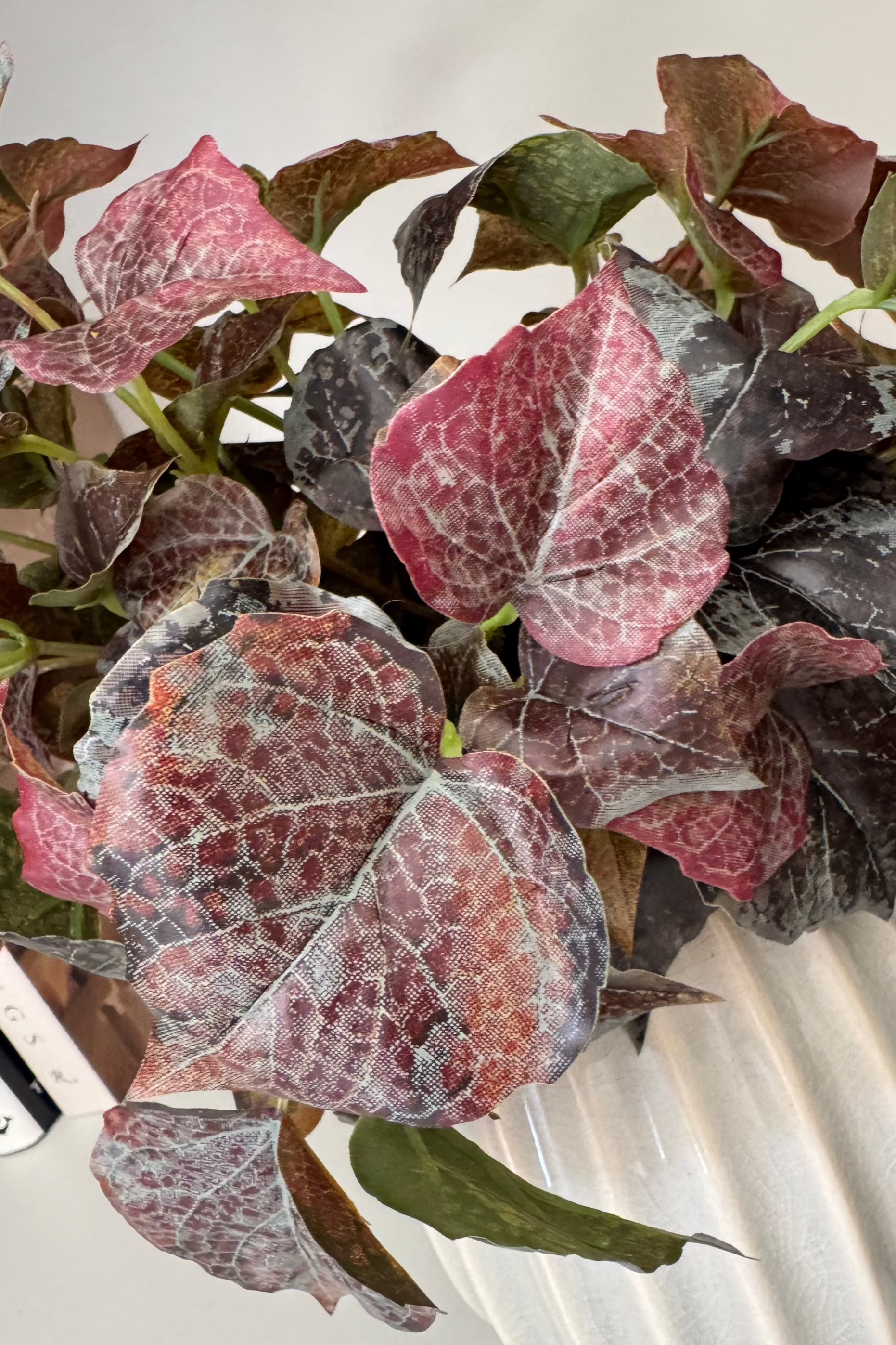 Ivy Spray in a Glazed Cream Vase RTfact Flowers 