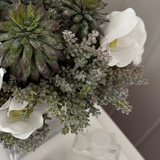 Orchids, Echeveria and Mini Plant in a Driftwood Glass Cube RTfact Flowers 