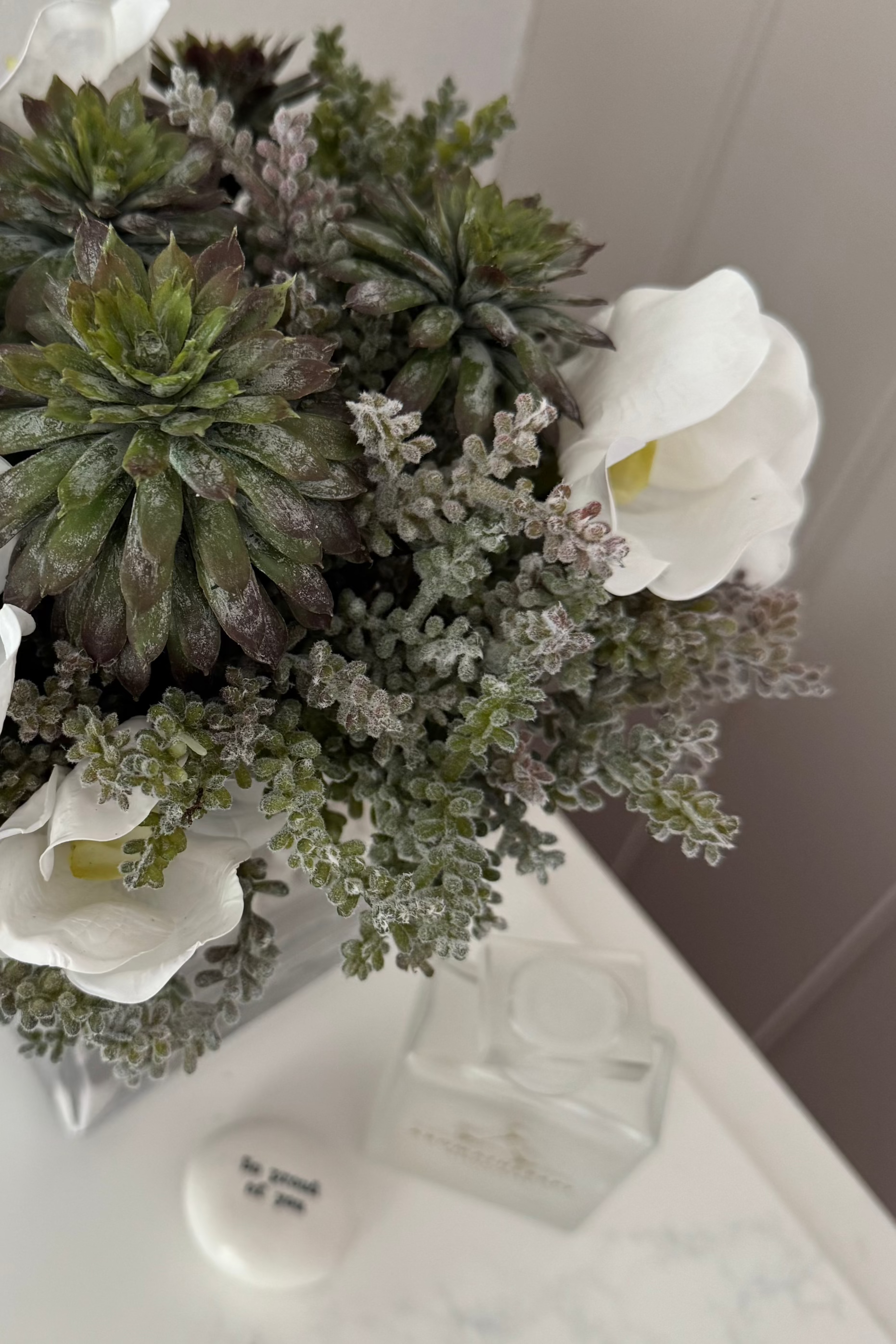 Orchids, Echeveria and Mini Plant in a Driftwood Glass Cube RTfact Flowers 