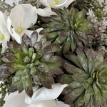Orchids, Echeveria and Mini Plant in a Driftwood Glass Cube RTfact Flowers 