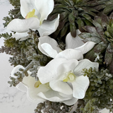 Orchids, Echeveria and Mini Plant in a Driftwood Glass Cube RTfact Flowers 