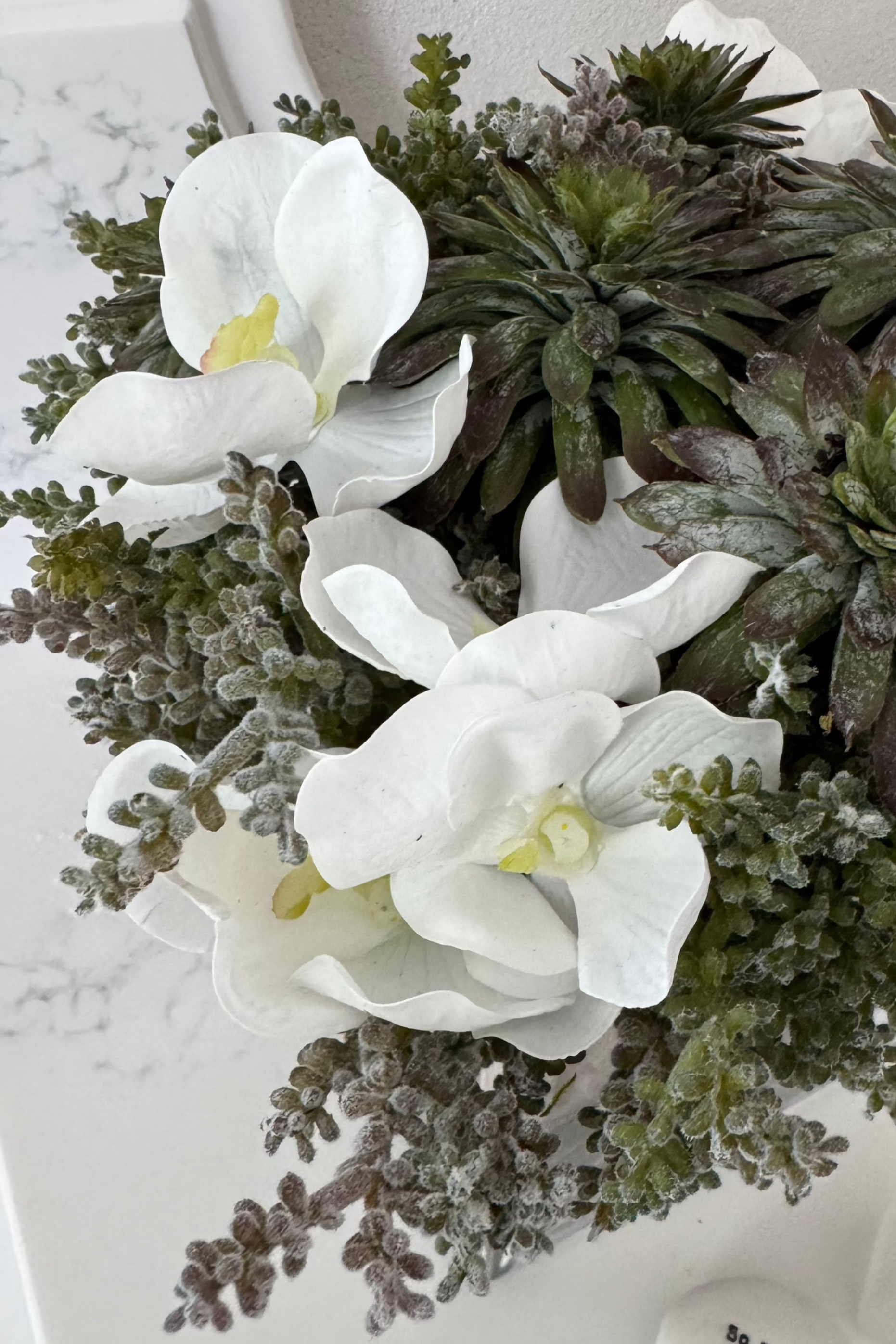 Orchids, Echeveria and Mini Plant in a Driftwood Glass Cube RTfact Flowers 