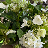Bucida, Hydrangea Spray and Queen Anne's Lace in a Light Mocha Bowl RTfact Flowers 