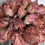 Roses in a Ribbed Glass Vase (Russet Salmon) RTfact Flowers 