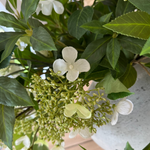 Bucida, Hydrangea Spray and Viburnum in a Light Grey Terracotta Vase RTfact Flowers 
