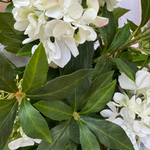 Bucida, Hydrangea Spray and Viburnum in a Light Grey Terracotta Vase RTfact Flowers 