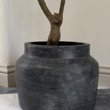 Asymmetrical Dodan Tree (150cm) RTfact Flowers 