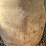 'Wavy Top' Terracotta Pot RTfact Flowers 