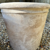 Antique Terracotta Pot RTfact Flowers 